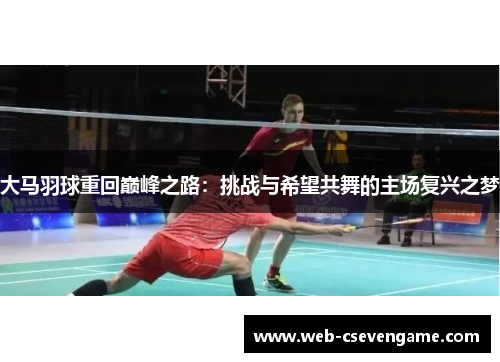 大马羽球重回巅峰之路：挑战与希望共舞的主场复兴之梦