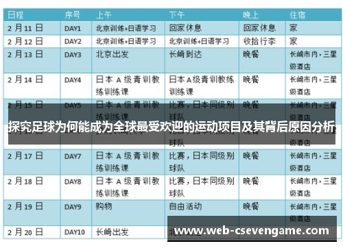 探究足球为何能成为全球最受欢迎的运动项目及其背后原因分析